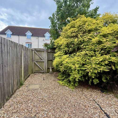 Baxendale Road Chichester garden